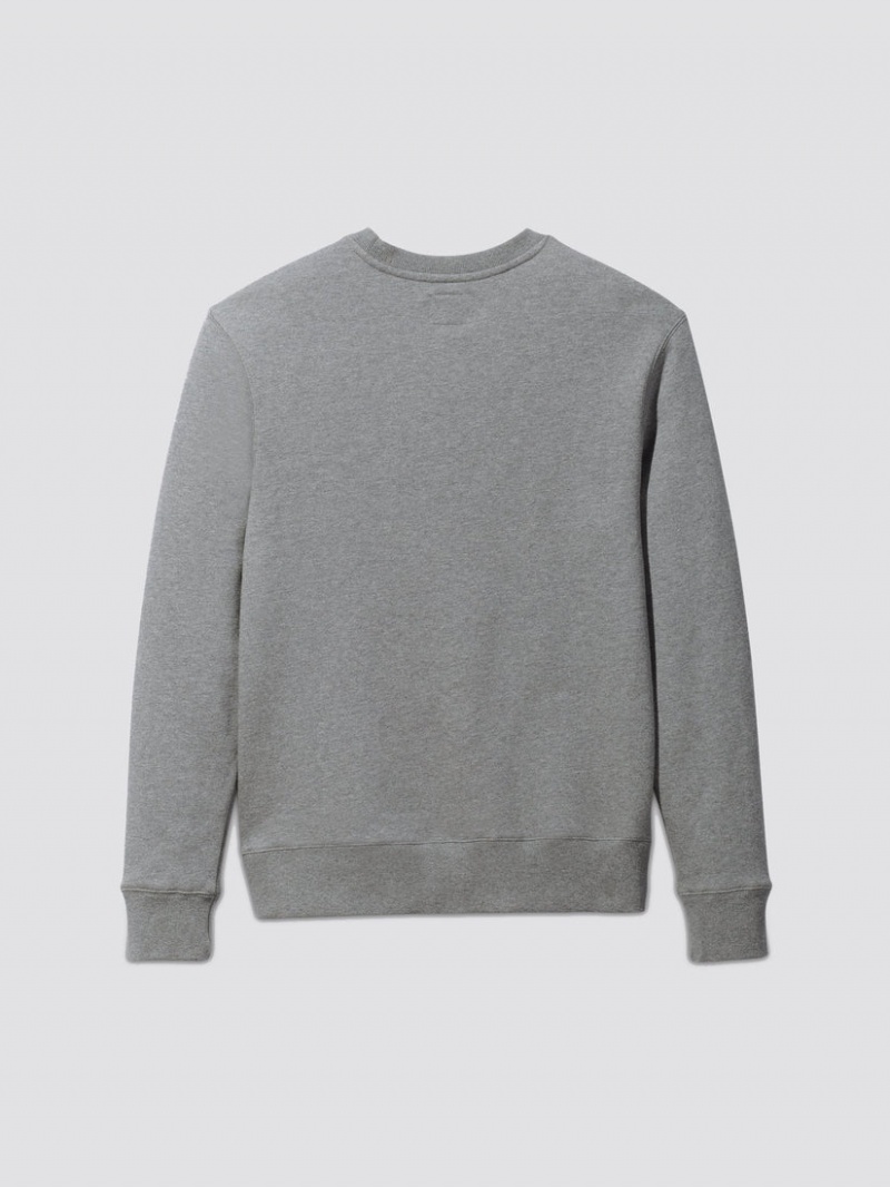 Felpa con Cappuccio Alpha Industries Essential Crewneck Uomo Grigie | 16897-XDYJ