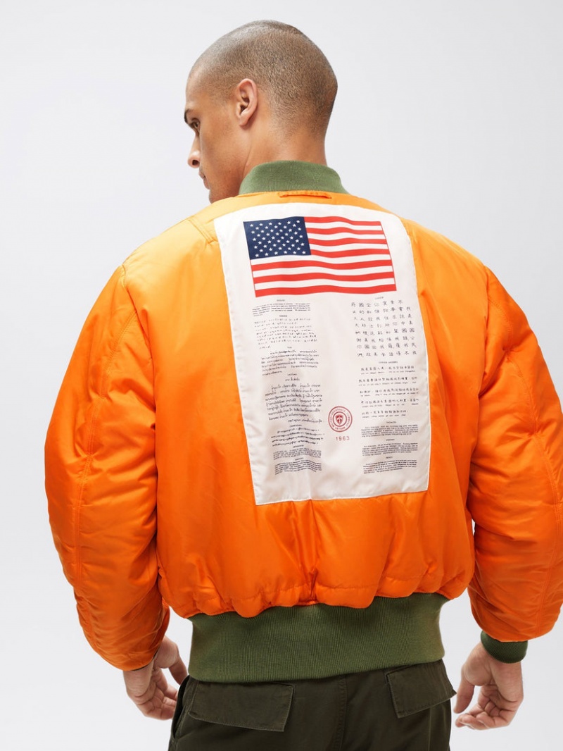 Giacca Bomber Alpha Industries Ma-1 Blood Chit Uomo Verde Oliva | 30495-NWVY