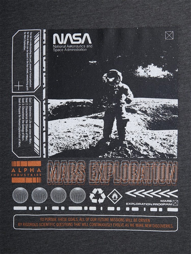 Magliette Alpha Industries Nasa Exploration Donna Grigie | 90347-VAZJ